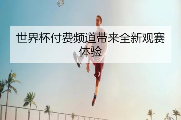 世界杯付费频道带来全新观赛体验
