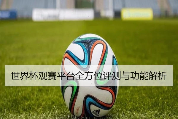 世界杯观赛平台全方位评测与功能解析
