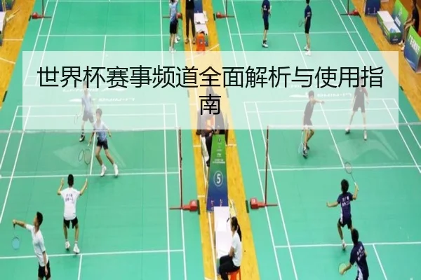 世界杯赛事频道全面解析与使用指南