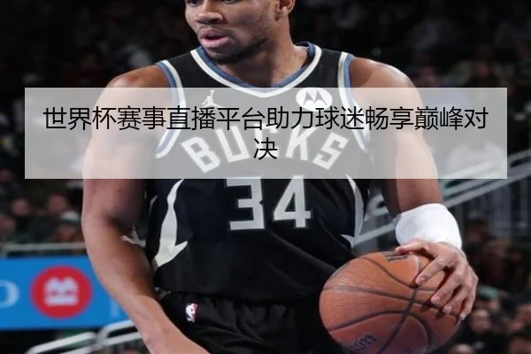 世界杯赛事直播平台助力球迷畅享巅峰对决