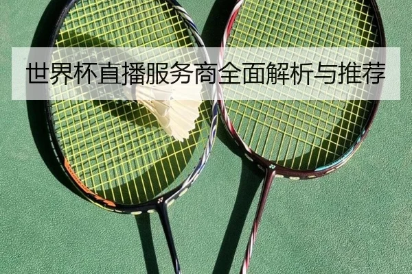 世界杯直播服务商全面解析与推荐