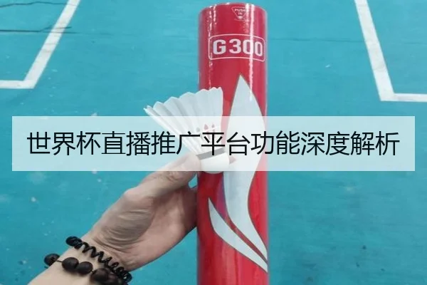 世界杯直播推广平台功能深度解析