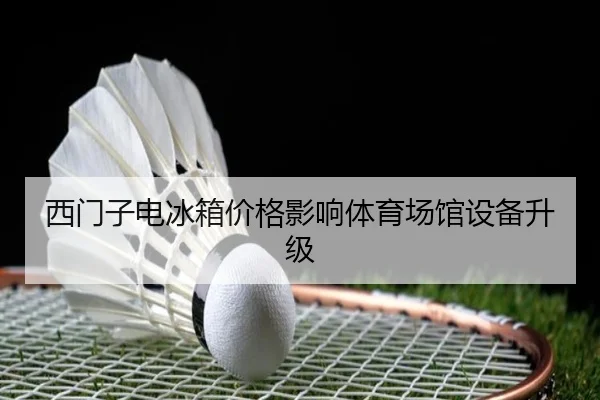 西门子电冰箱价格影响体育场馆设备升级